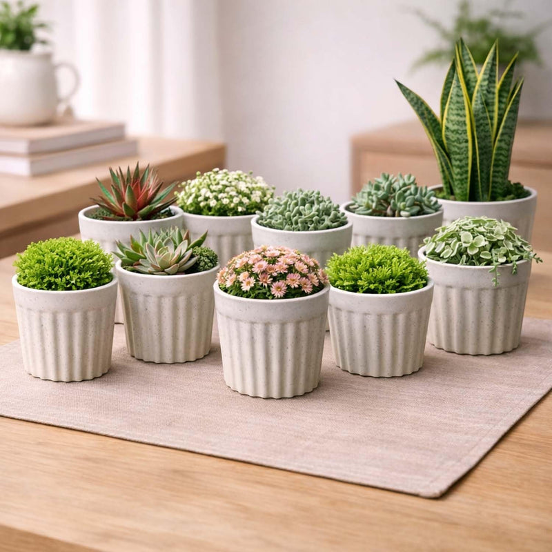 GoHooked assorted plastic self-watering planters with geometric design, holding various succulents and small plants.