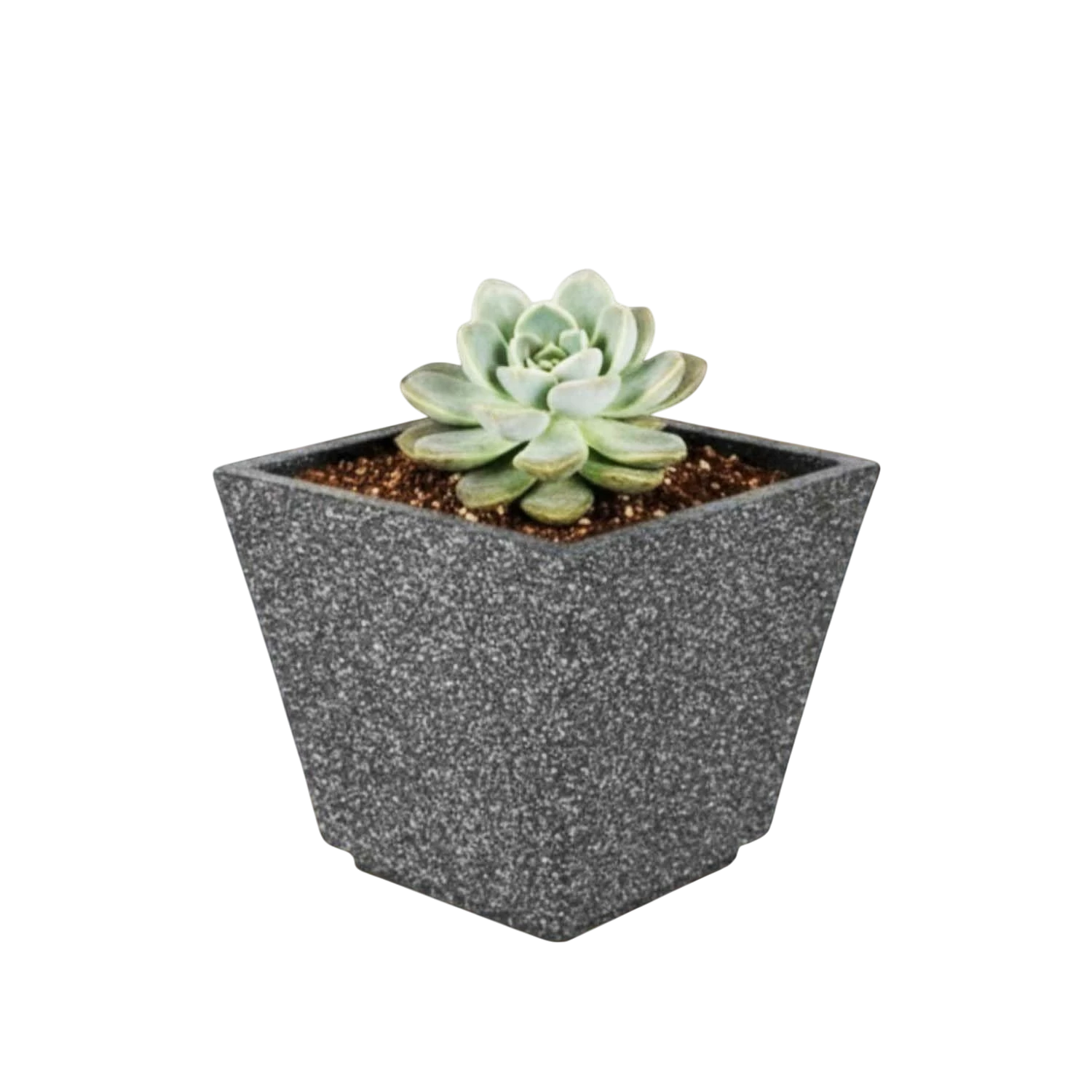 GoHooked 12-inch square planter in speckled grey polymer with a succulent plant. Features drainage hole, UV-resistant, and lightweight design.