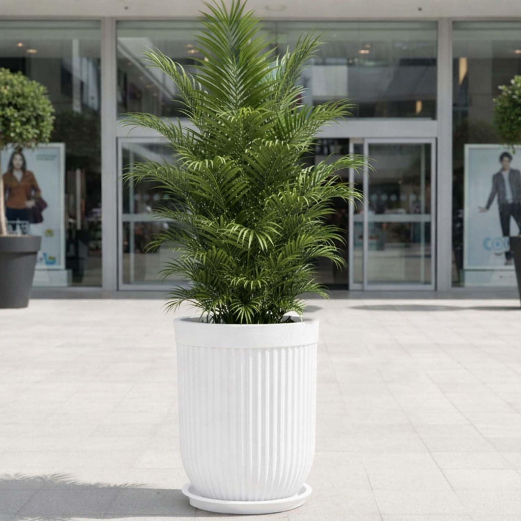 GoHooked 24-inch tall white ribbed floor planter with a plant, featuring a modern design for indoor or outdoor use.