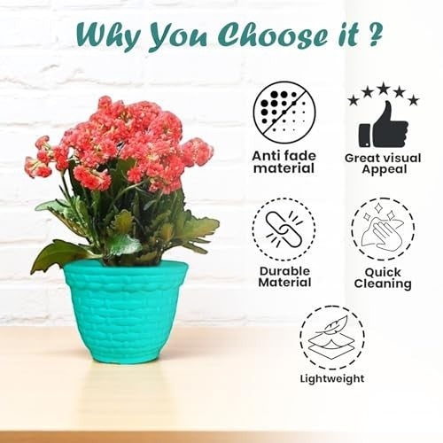 Go Hooked teal plastic planter pot with textured design holding a flowering plant. Lightweight & durable.