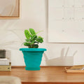 GoHooked teal plastic planter pot with saucer, 6 inch twister design for indoor/outdoor plants.