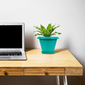 GoHooked teal plastic planter pot with saucer, modern ribbed design, ideal for indoor or outdoor plants.