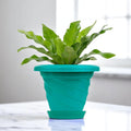 GoHooked teal plastic planter pot with saucer, 6 inch twister design for indoor/outdoor plants.
