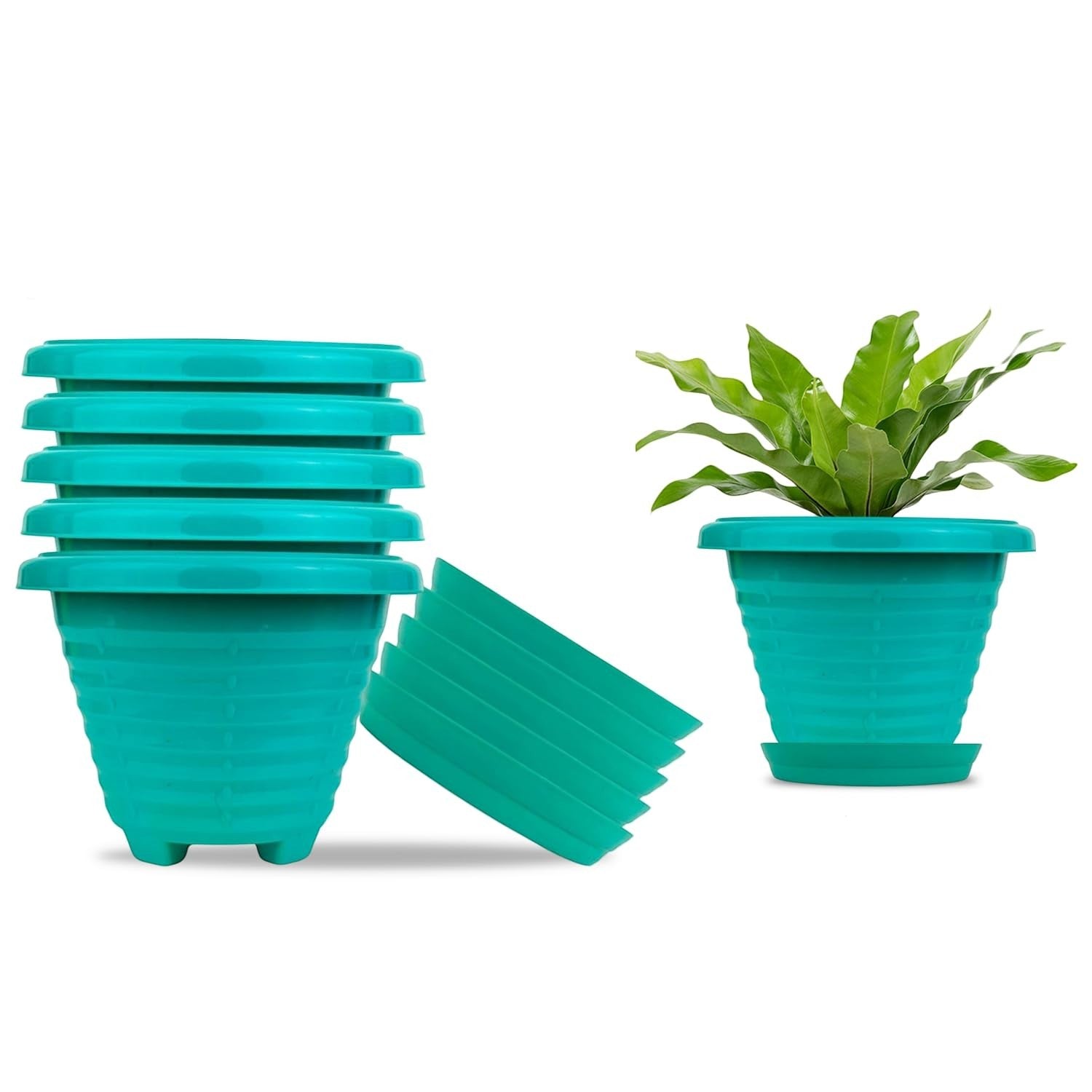 GoHooked set of 6 teal plastic planter pots with saucers, one pot with a plant.