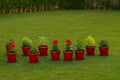 GoHooked 8-inch terracotta brown plastic planters with bottom plates, set of 10, ideal for indoor/outdoor use.