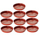 Go Hooked Terracotta Planter Dripping Tray for Tidy Indoor Gardens Bottom Plate Dripping Tray for Elegant Flawless Plant Displays to Maintain Clean Surfaces 6 Inch Pack of 10