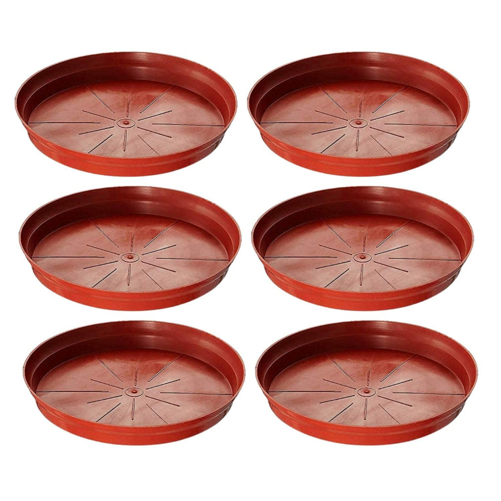 Go Hooked Terracotta Planter Dripping Tray for Tidy Indoor Gardens Bottom Plate Dripping Tray for Elegant Flawless Plant Displays to Maintain Clean Surfaces 8 Inch Pack of 6