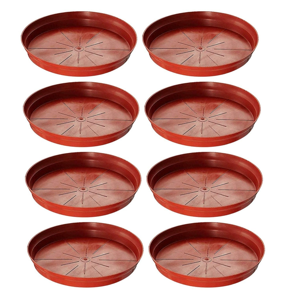 Go Hooked Terracotta Planter Dripping Tray for Tidy Indoor Gardens Bottom Plate Dripping Tray for Elegant Flawless Plant Displays to Maintain Clean Surfaces 6 Inch Pack of 6