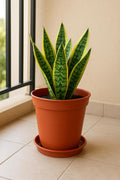 GoHooked terracotta planter dripping tray, 10 inch, modern style, for indoor and outdoor use. Protects surfaces from water damage.