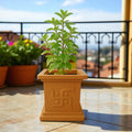 GoHooked traditional square terracotta planter with Swastik design, 9 inch, for home temple or balcony decor.