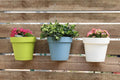 GoHooked set of 4 multicolor plastic wall hanging plant pots, one lime green, one sky blue, one white, with plants.