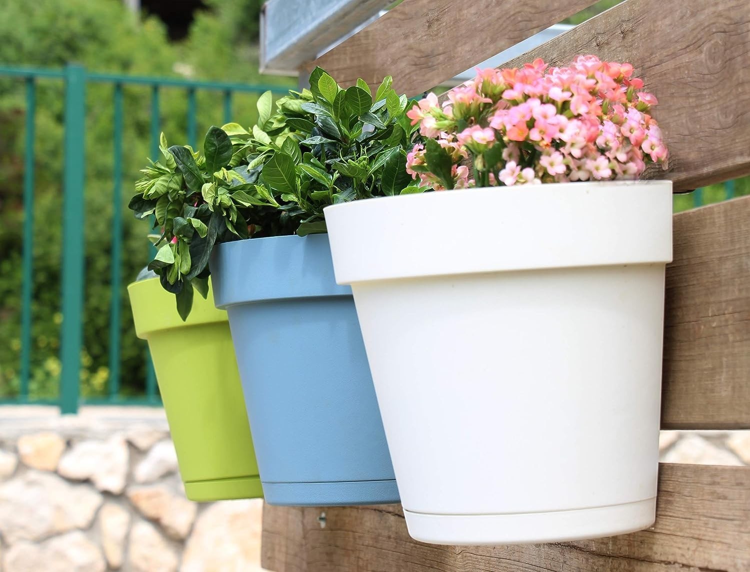 GoHooked multicolor plastic wall hanging planters with green plants and pink flowers. Set of 10.