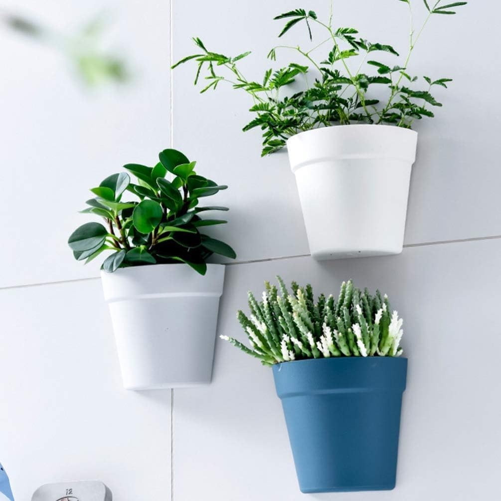 GoHooked set of 5 multicolor plastic wall hanging planters with assorted plants.