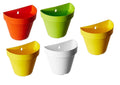 GoHooked set of 5 multicolor plastic wall hanging planters, ideal for herbs or flowers.