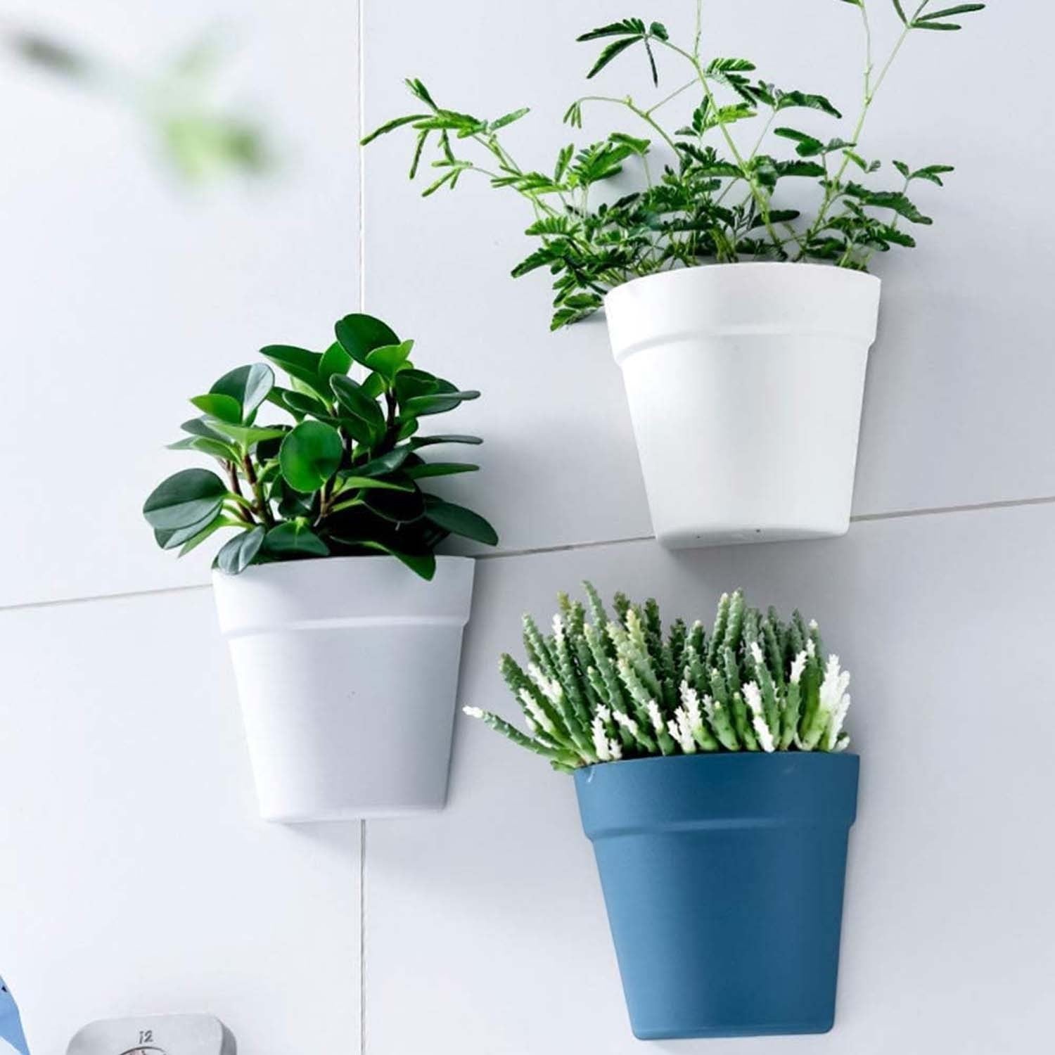 GoHooked wall-mounted plastic flower pots in white and blue for indoor and outdoor vertical garden decor.