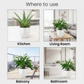 GoHooked white 10-inch modern polymer planter pot with drainage, perfect for indoor and outdoor use.