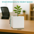 GoHooked white polymer 8-inch modern cube planter with a small green plant on a wooden desk.