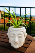 GoHooked white plastic Buddha head planter with a spider plant on a wooden table.
