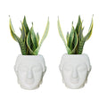 GoHooked Set of 2 white plastic Buddha head planters with snake plants. Ideal for home decor.