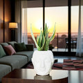 GoHooked white plastic Buddha head planter holding a snake plant in a living room at sunset.
