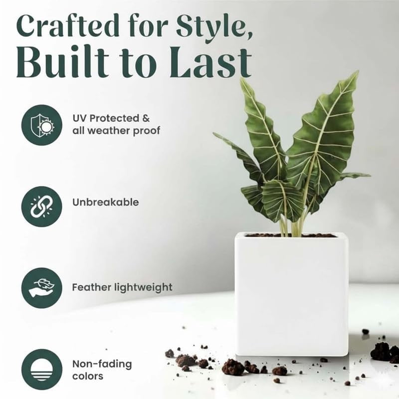 GoHooked white 10-inch cube planter, made of UV-resistant polymer, unbreakable and lightweight for indoor/outdoor gardening.