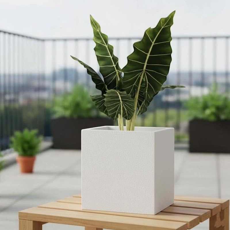GoHooked white 10-inch cube planter with drainage, made of UV-resistant polymer for indoor/outdoor use.