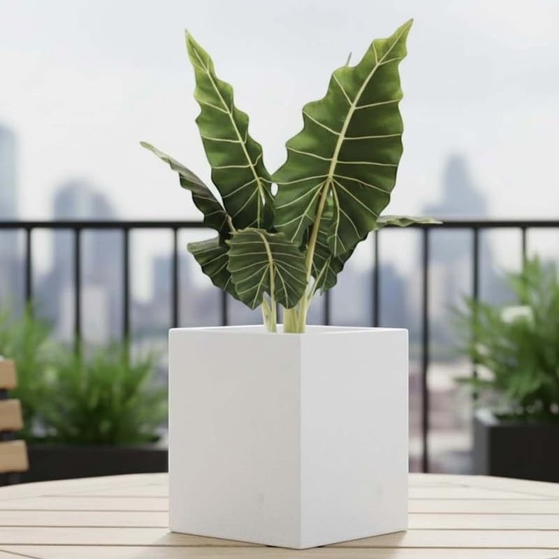 Go Hooked 12-inch white polymer cube planter with drainage hole, perfect for indoor/outdoor gardening.