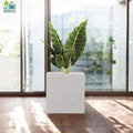 GoHooked 15-inch white polymer cube planter with a large green plant, perfect for indoor/outdoor decor.