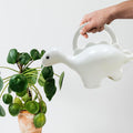 Go Hooked white plastic dinosaur watering can watering a houseplant. 1 Liter capacity.