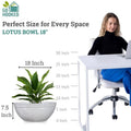 GoHooked 18-inch white polymer Lotus Bowl planter with drainage option, perfect for indoor or outdoor plants.