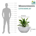 Go Hooked white polymer Lotus Bowl planter, 25 inches wide and 11 inches tall, shown with a plant and a human silhouette for scale.