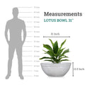 GoHooked white polymer lotus bowl planter, 31 inch diameter, 13.5 inch height, with drainage option.