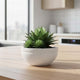 Go Hooked Lotus Bowl 18 Inch Big Flower Pot for Plants | Outdoor & Indoor Planter for Balcony, Terrace & Garden | Weather-Resistant, Lightweight, Durable Polymer Pot with Drainage Option (White)