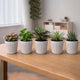 Go Hooked 6 Inch Plastic Plant Pot Set of 5 | White Marble Texture Ribbed Planters, Stylish Modern Design | Decorative Indoor Outdoor Flower Pots for Balcony, Living Room, Garden, Home & Office Décor