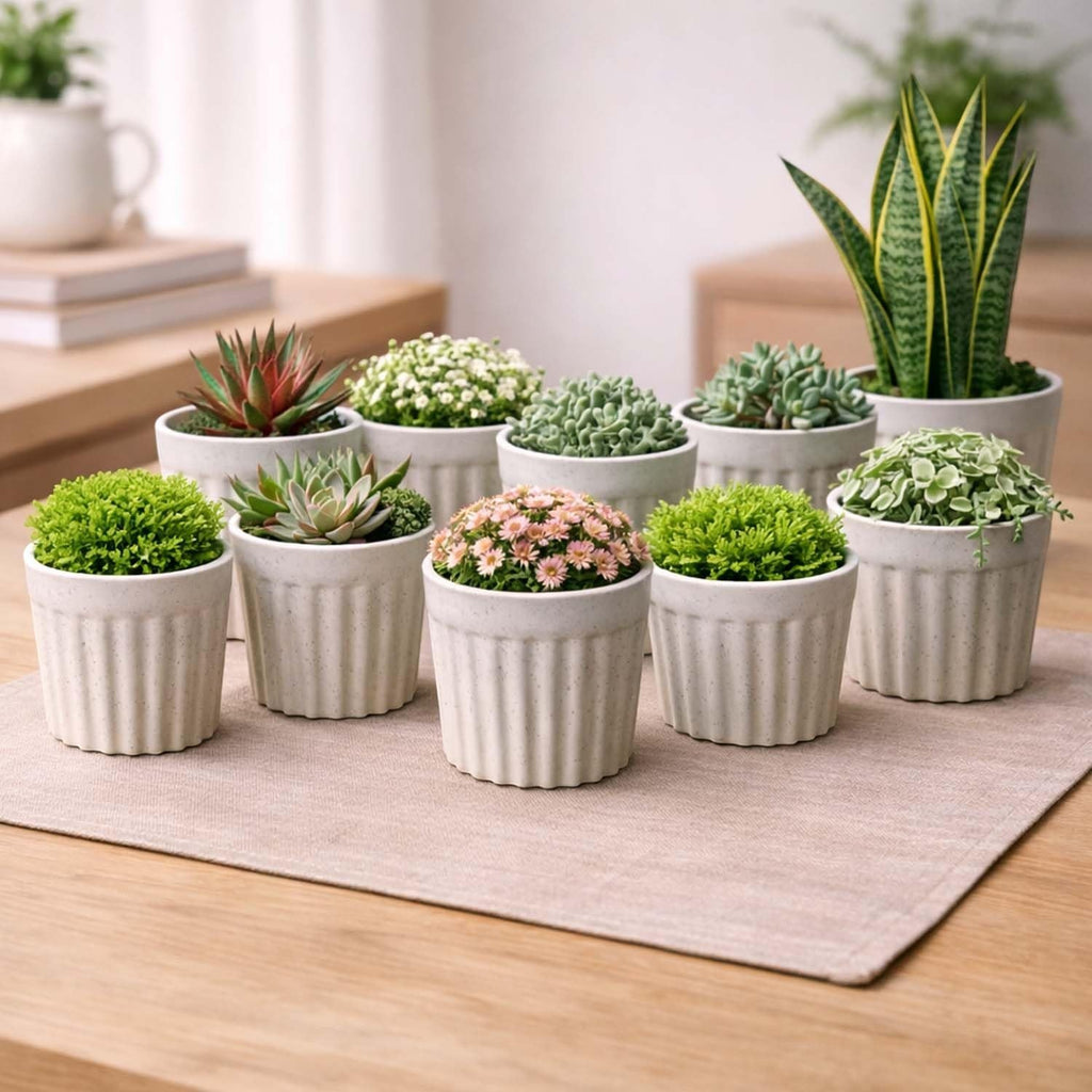 GoHooked white marble texture ribbed plastic planter pots holding various small indoor plants on a wooden table.