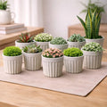 GoHooked white marble texture ribbed plastic planter pots holding various small indoor plants on a wooden table.