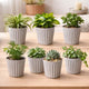 Go Hooked 6 Inch Plastic Plant Pot Set of 7 | White Marble Texture Ribbed Planters, Stylish Modern Design | Decorative Indoor Outdoor Flower Pots for Balcony, Living Room, Garden, Home & Office Décor