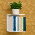 GoHooked white heavy duty metal wall mounted shelf with books and a potted plant.