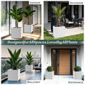 GoHooked white polymer modern cube planter, 8-inch square pot for indoor/outdoor use. Versatile décor for home, office, balcony.