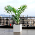 GoHooked white polymer modern cube planter pot, 8-inch square, for indoor/outdoor use.