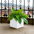 GoHooked white polymer modern cube planter pot with green plant on a balcony.