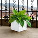 Go Hooked Cube 8 Inch Modern Flower Planter Pot – Decorative Flower Container for Home, Office & Balcony Décor – Lightweight, Durable Square Pot for Indoor & Outdoor Use (White)