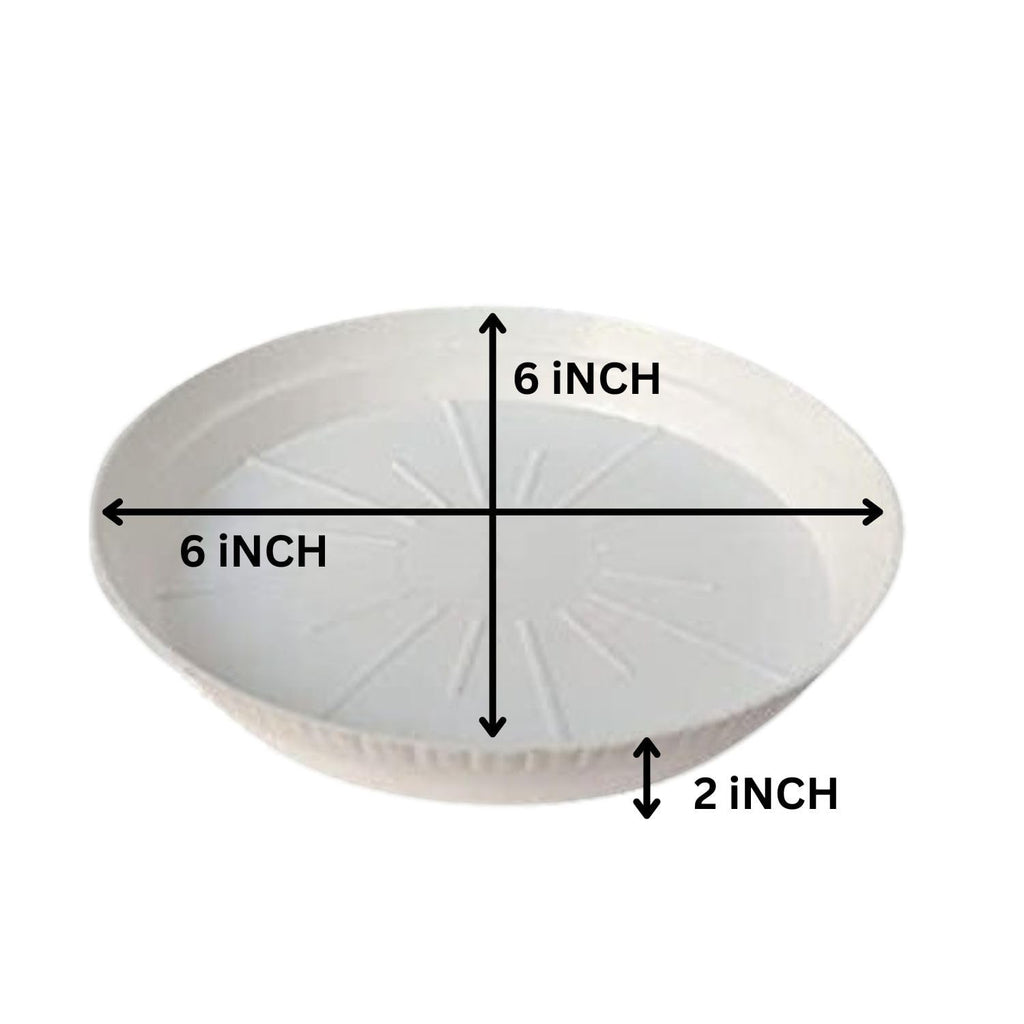 GoHooked white 6-inch round planter drip tray, 2 inches high, pack of 6, for indoor and outdoor use.