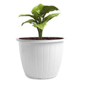 GoHooked white 10-inch plastic flower pot with vertical ribbed design, holding a green plant.
