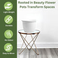 GoHooked white plastic Duro flower pot, 8 inch, pack of 10 with trays. Lightweight, durable, no odour, easy to move.