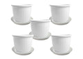 GoHooked white plastic 10-inch flower pots with trays, pack of 5. Ideal for indoor/outdoor gardening.