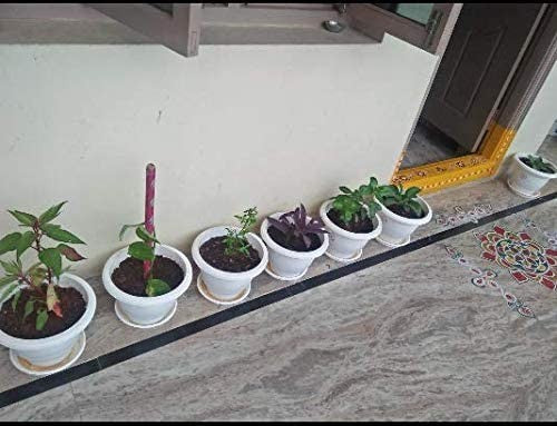 GoHooked white plastic 10-inch flower pots with bottom trays, set of 5, holding various plants on a tiled patio.