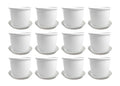 GoHooked white plastic Duro flower pots with trays, 8-inch, pack of 12, for indoor/outdoor gardening.