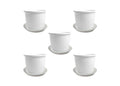GoHooked white plastic flower pots with trays, 8 inch, pack of 5, for indoor/outdoor gardening.