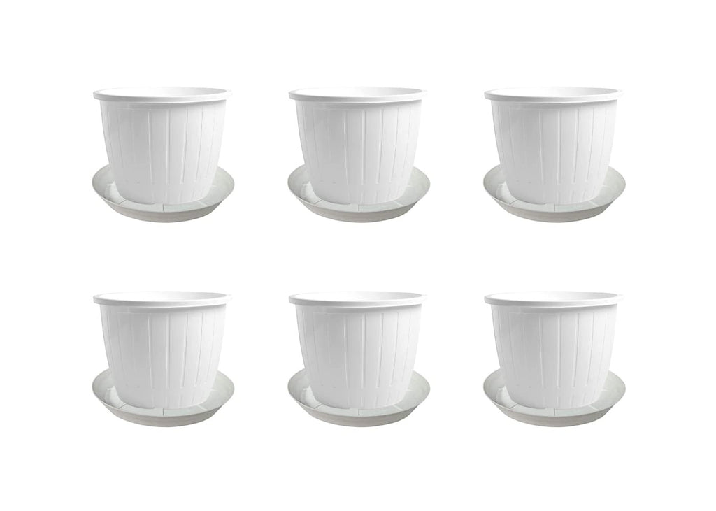 GoHooked white plastic flower pots with trays, pack of 6, 8-inch diameter, ideal for indoor/outdoor gardening.